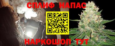 стаф Будённовск
