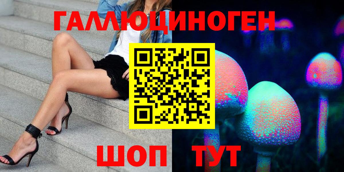 Псилоцибиновые грибы Psilocybine cubensis Нижний Тагил
