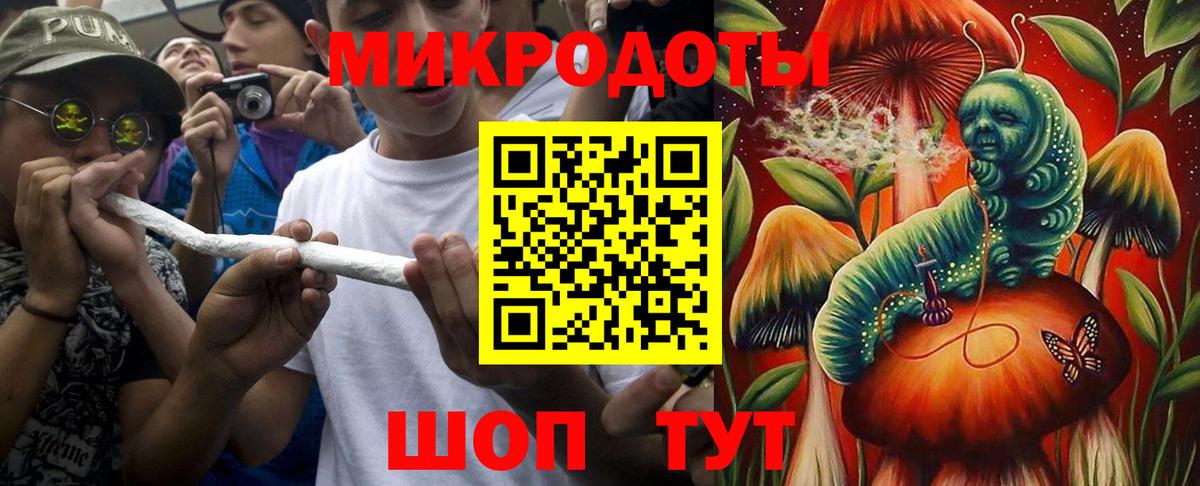 Псилоцибиновые грибы Psilocybe  Вход с VPN  Нижний Тагил  Галлюциногенные грибы Psilocybe 